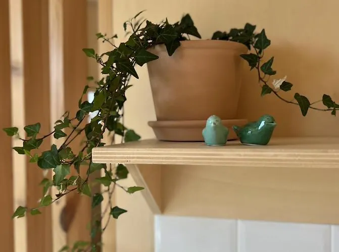 Casa Raposa - Terrace Mountain View Деревянный коттедж